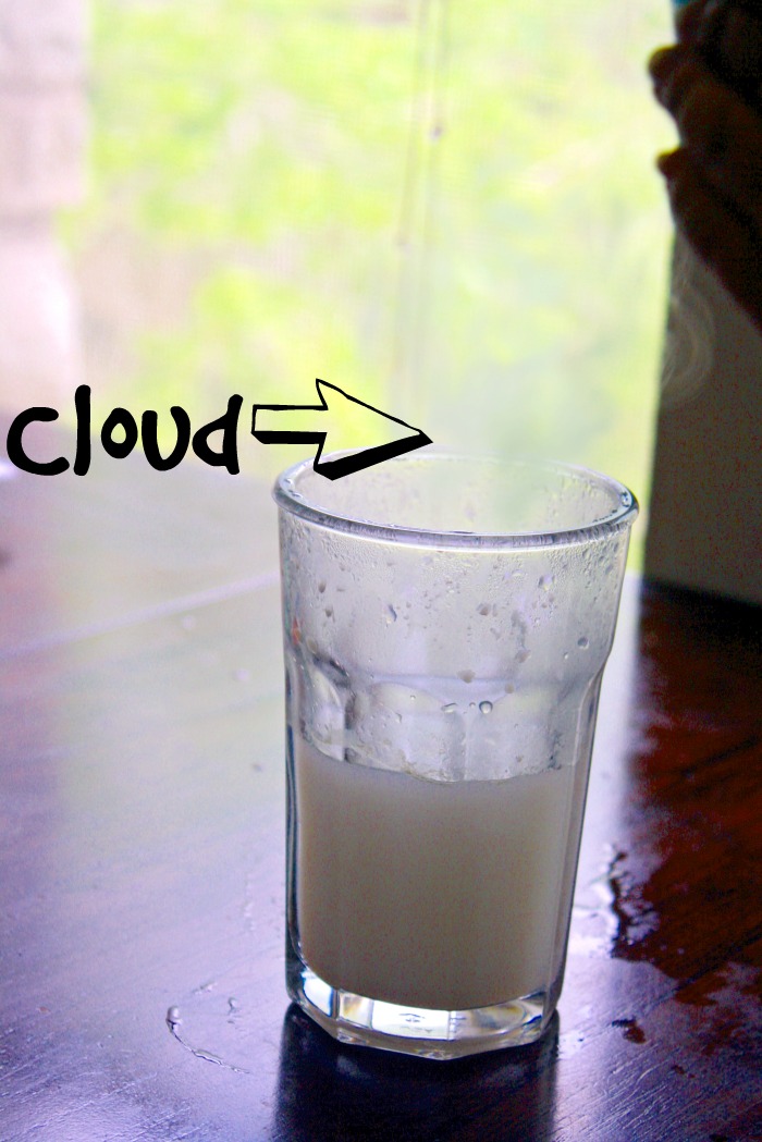 Cloud in a Cup: Condensation Science Experiment for Preschool