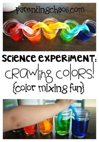 Crawling Colors Science Experiment