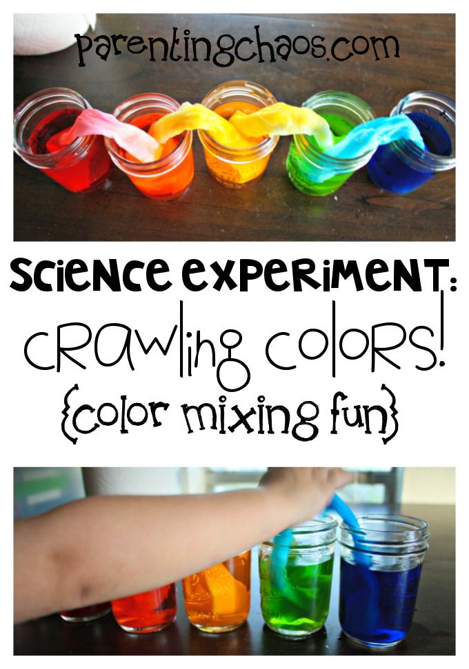 Crawling Colors! A FUN Color Mixing Science Experiment for Young Kids