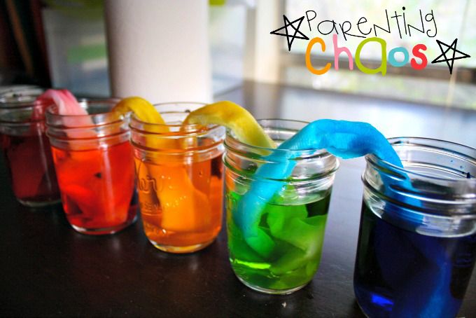 Color Mixing Science Experiment for Preschoolers: Making Secondary Colors with Food Dye and Paper Towels