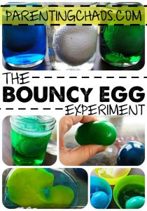 Bouncy Egg Science Experiment!