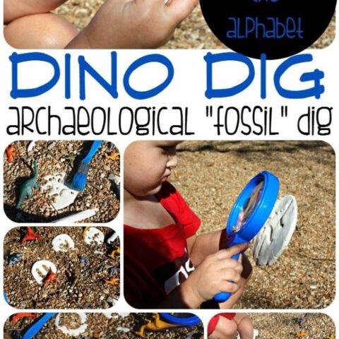 Dino Dig: Exploring Fossils, Shapes, and the Alphabet!