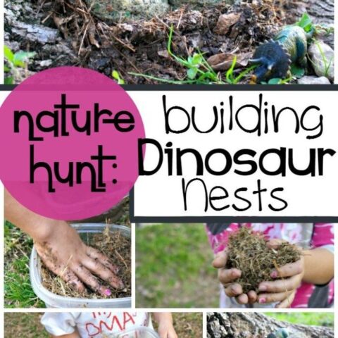Dinosaur Nests! Exploring Science and Nature