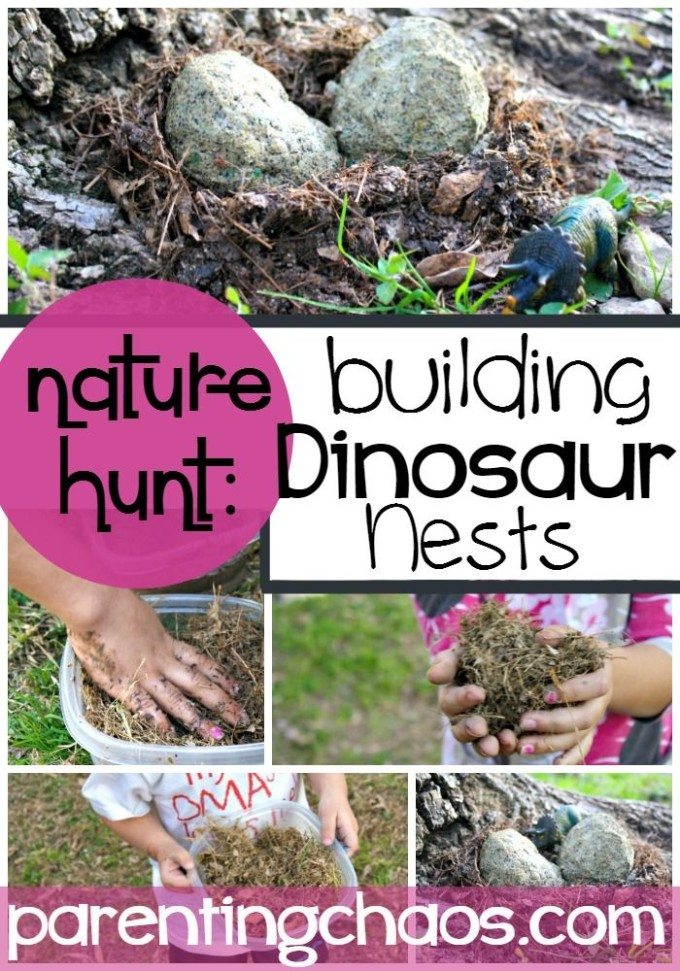 Dinosaur Nests! Exploring Science and Nature