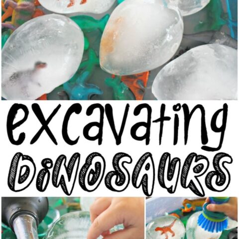 Excavating Dinosaurs from Ice