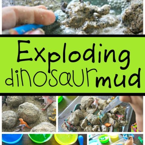 Fizzing Dinosaur Eggs and Exploding Mud!