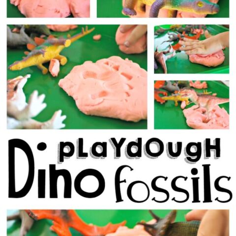Playdough Dinosaur Fossils