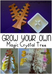 How to Grow Your Own Magic Crystal Tree