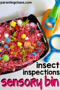 Insect Inspections Sensory Bin