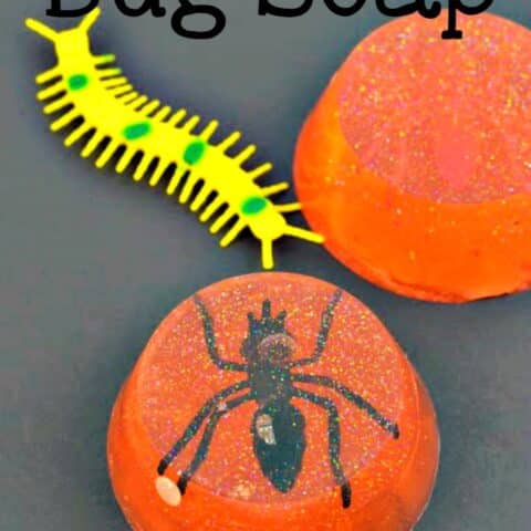 Jurassic Amber Fossil Soap
