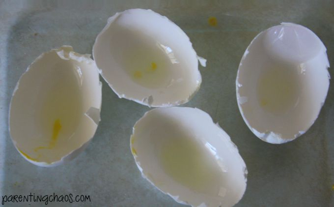 How to Crack and Egg Shell for Crystal Geodes