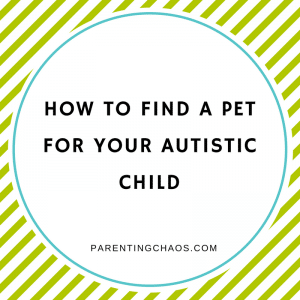 How to Find a Shelter Pet for Your Autistic Child