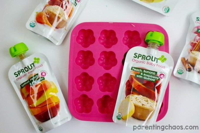 Frozen Baby Food Bites are a Healthy Snack that Your Toddler will LOVE!
