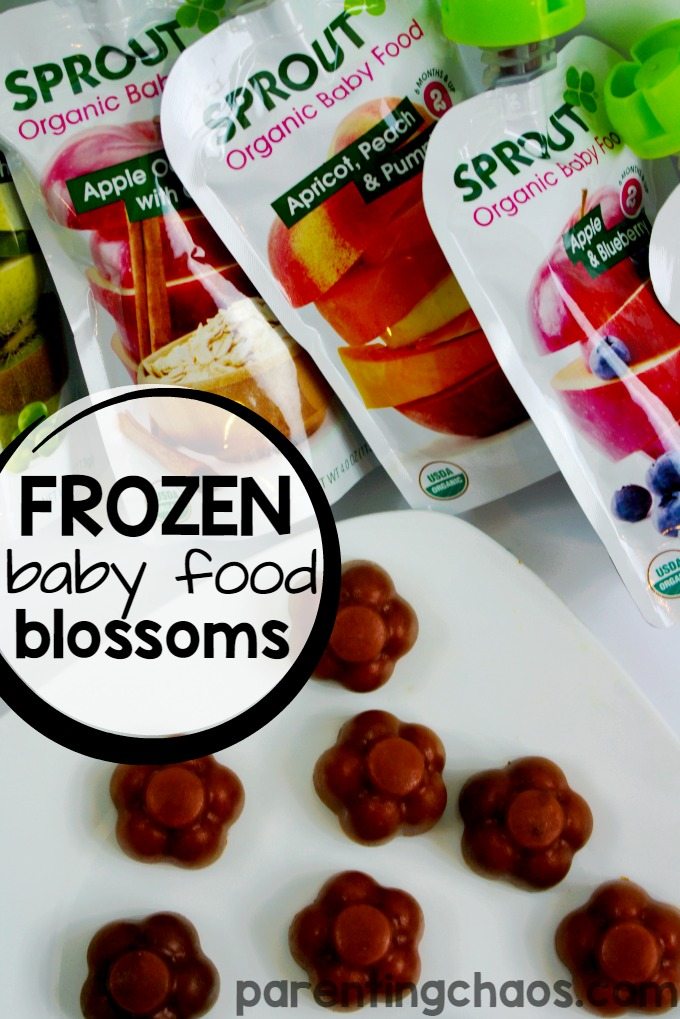 Frozen Baby Food Bites are a Healthy Snack that Your Toddler will LOVE!