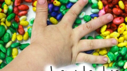 How to Color Rainbow Navy Beans for Sensory Play