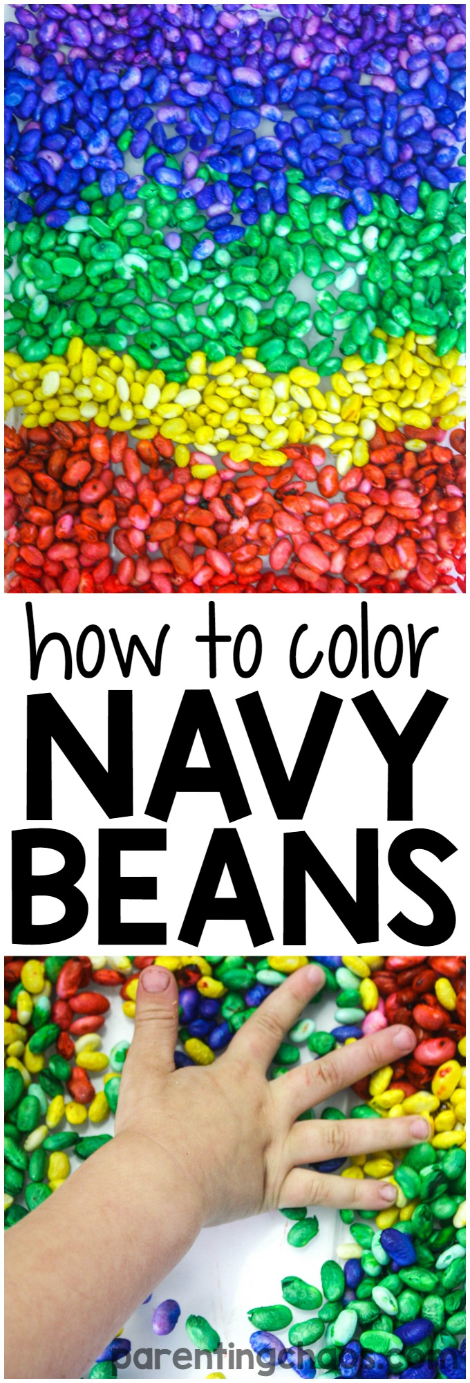 Kids will be amazed by this simple tutorial on how to color Rainbow Navy Beans for Sensory Play. This sensory bin filler is easy, quick, and affordable!
