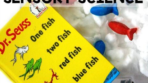 Kids will love this Red Fish, Blue Fish Sensory Science Bin inspired by Dr. Seuss's book One Fish Two Fish Red Fish Blue Fish!