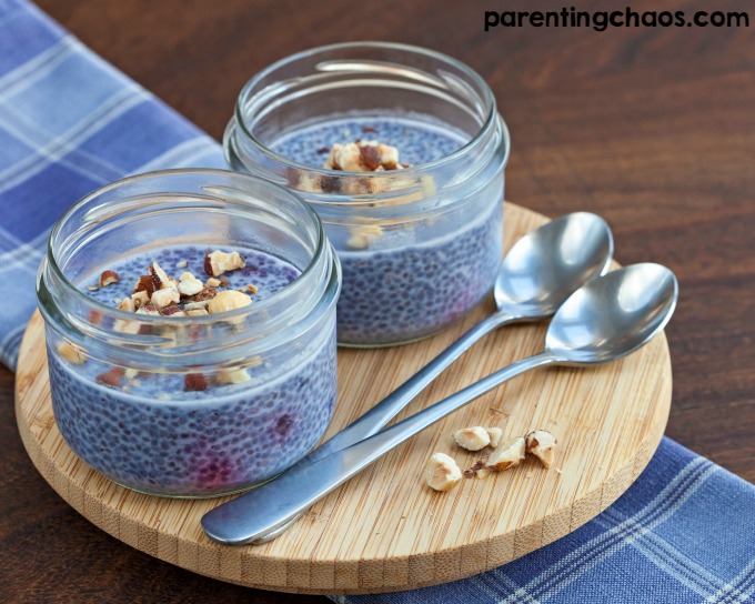 This Vanilla Blueberry Chia Pudding is hands down one of the easiest breakfasts I have ever made. This easy breakfast recipe is packed with protein, fiber, and antioxidants, plus it tastes just like a dessert! 