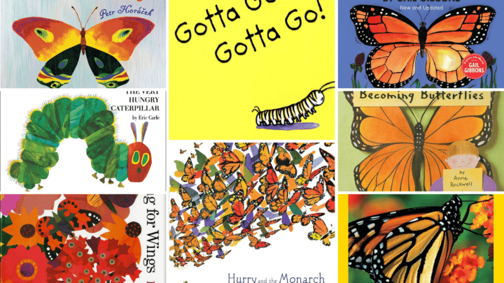 Image for Butterfly Books for Kids