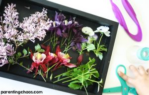 This Parts of a Flower Cutting Tray was a fun scissor activity to work on my kids' basic scissor skills while getting some hands-on exploration of flowers.