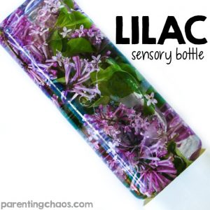 Lilac Sensory Bottle - a great way for your child to play with and discover spring flowers up close! a great activity to explore the natural world and bring the outside in.
