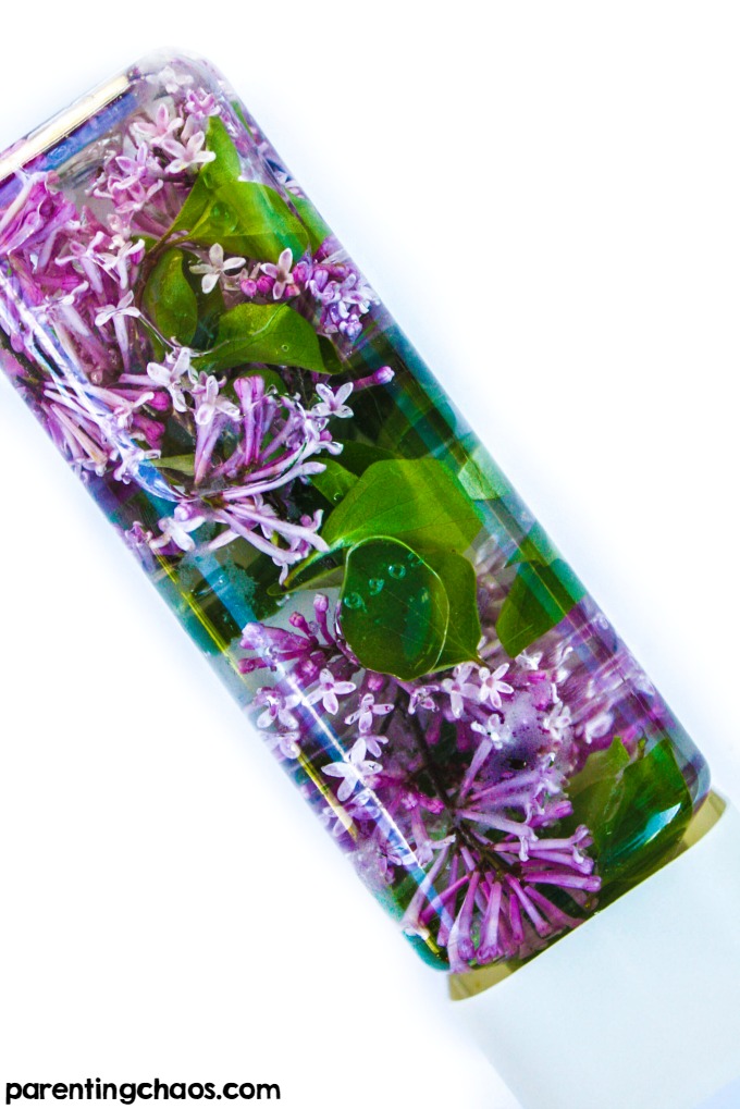 Lilac Sensory Bottle - a great way for your child to play with and discover spring flowers up close! a great activity to explore the natural world and bring the outside in.
