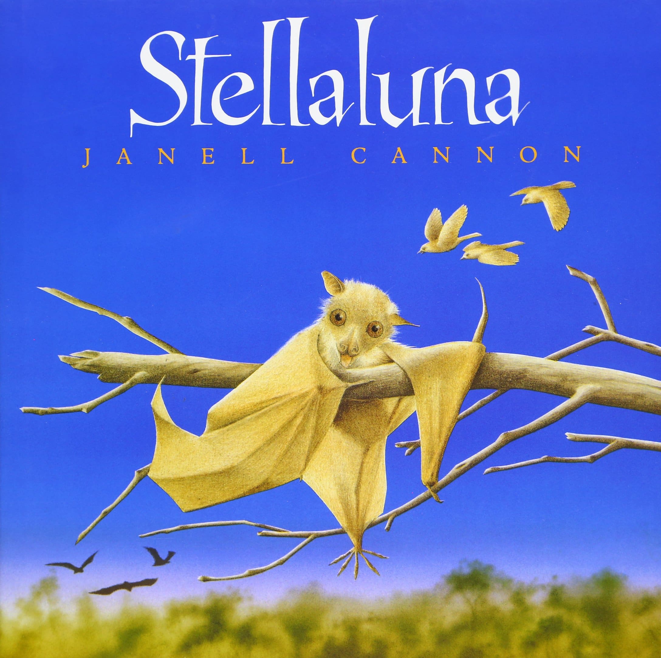 stellaluna book