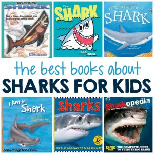 Best Shark Books for Kids