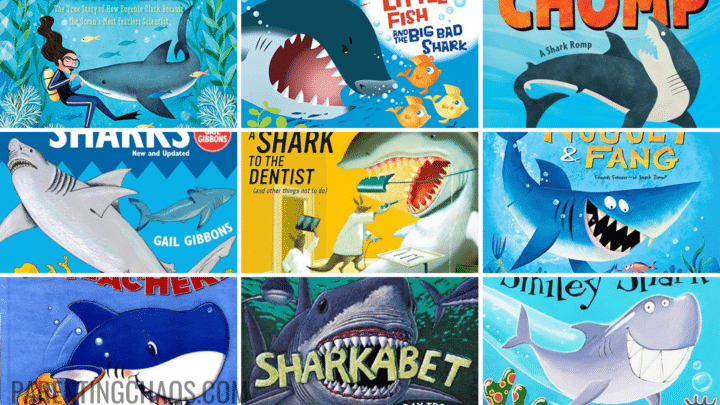 Best Shark Books for Kids