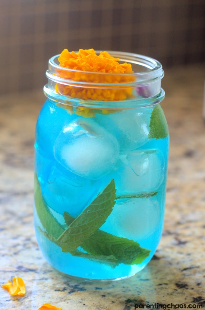 This Pokémon Power Up Bulbasaur Punch is the perfect way to recharge your batteries after a fun afternoon of catching Pokémon!