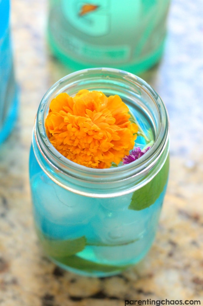 This Pokémon Power Up Bulbasaur Punch is the perfect way to recharge your batteries after a fun afternoon of catching Pokémon!