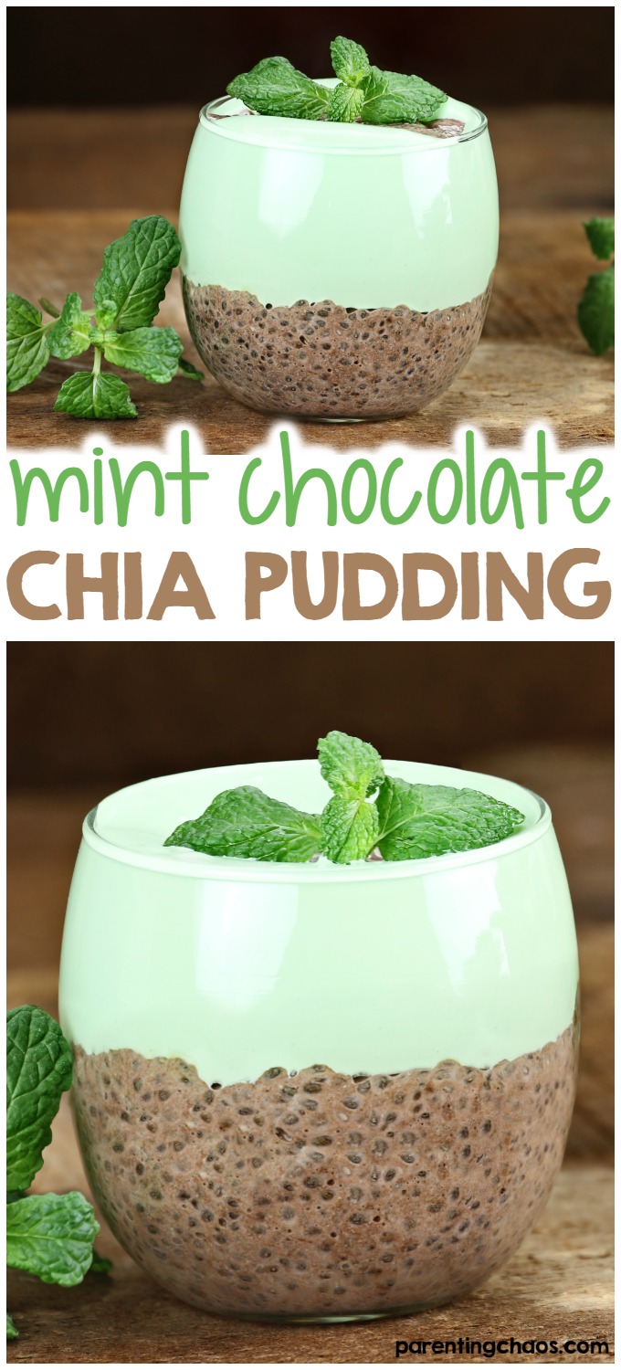 If you’re having a serious craving for mint chocolate but not looking for a serious sugar overload, this chia pudding is the perfect treat for you.