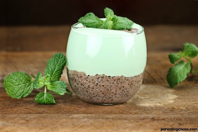 If you’re having a serious craving for mint chocolate but not looking for a serious sugar overload, this chia pudding is the perfect treat for you.
