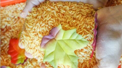 We’re finally in the season of pumpkin - it’s everywhere! There’s no better excuse to enjoy this pumpkin scented sensory rice activity for kids.