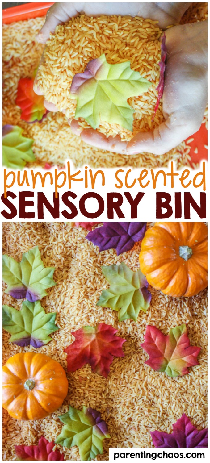 Kids will LOVE this Pumpkin Scented Sensory Rice!