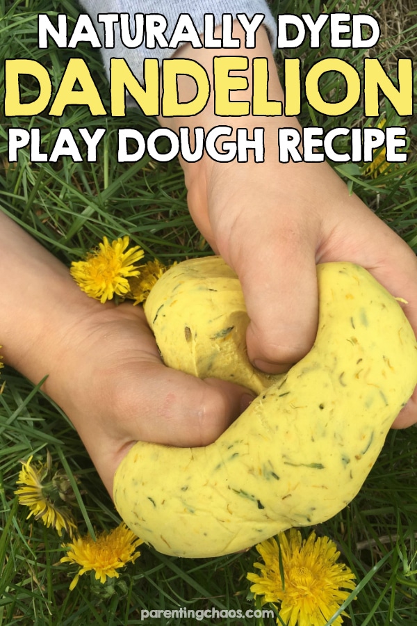 How to Naturally Dye Play Dough using Dandelions