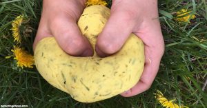How to Naturally Dye Play Dough using Dandelions