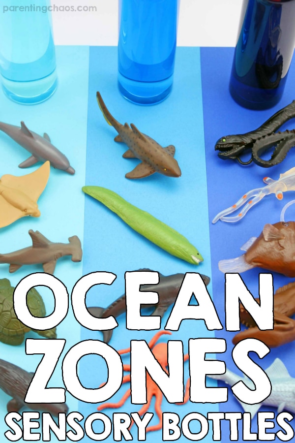 Ocean Zones Sensory Bottles