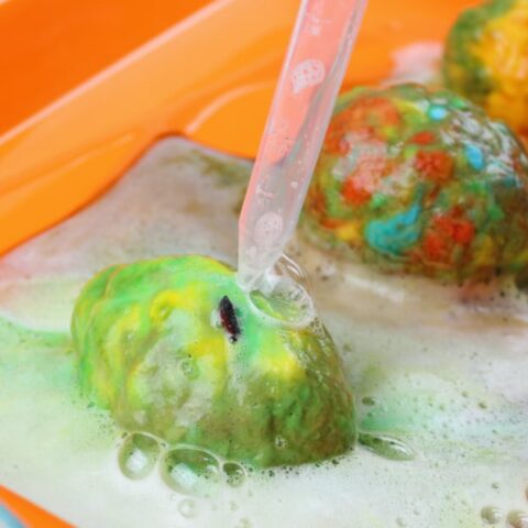 Hatching Fizzy Dinosaur Eggs