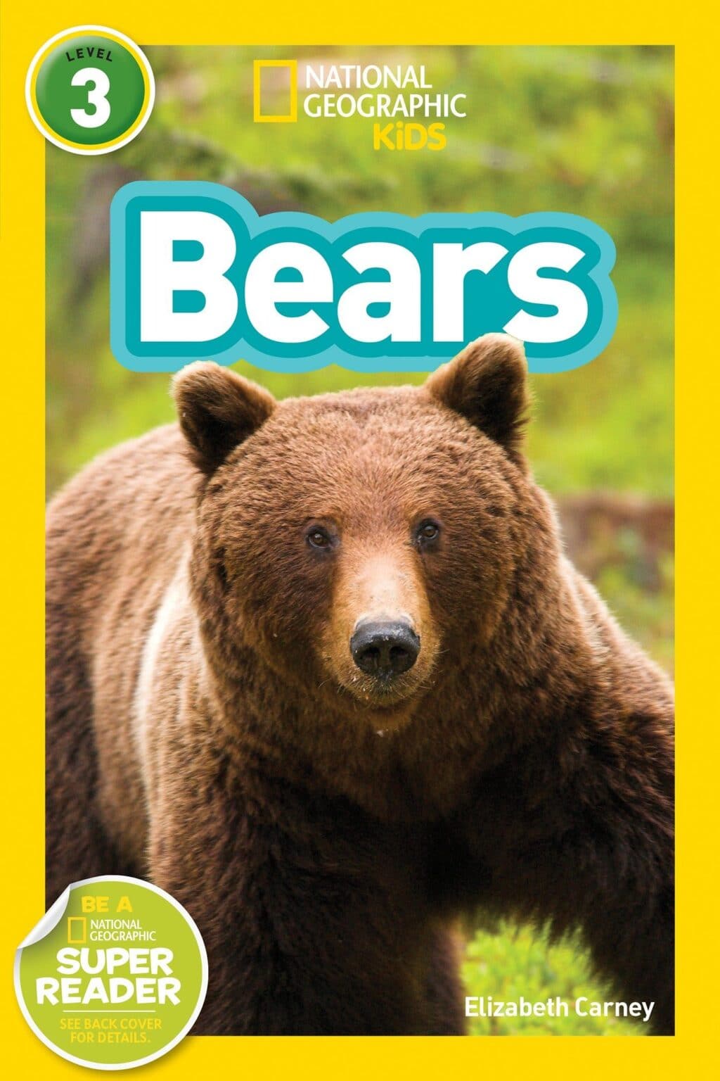Bear Books for Kids ⋆ Parenting Chaos