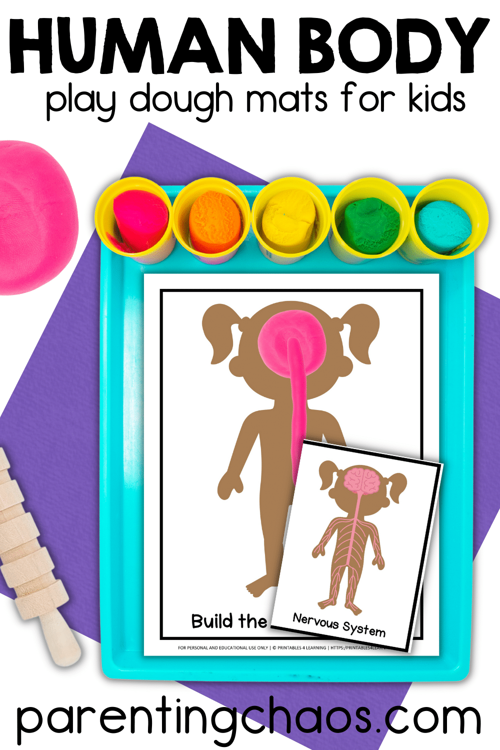 Printable Human Body Playdough Mats Parenting Chaos