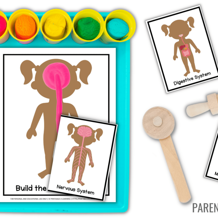 Image for Printable Human Body Playdough Mats