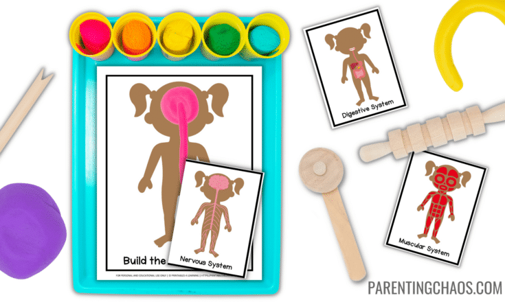 Image for Printable Human Body Playdough Mats