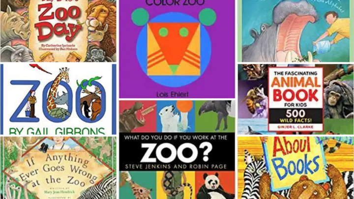 Image for Zoo Books for Preschoolers