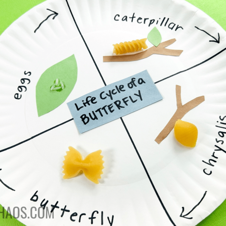 Image for Butterfly Life Cycle Paper Plate Craft 