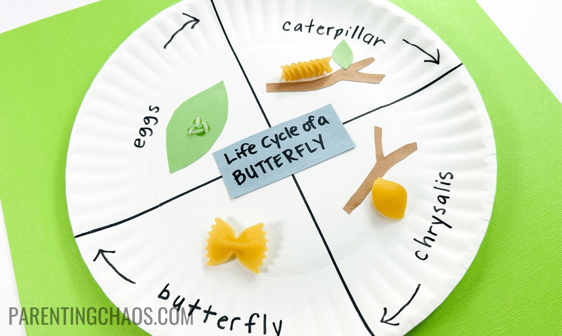 Life Cycle Of A Butterfly Monarch Butterfly Life Cycle Printables