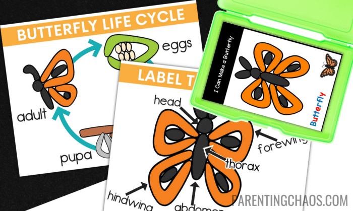 Butterfly Life Cycle Playdough Mats for Kids