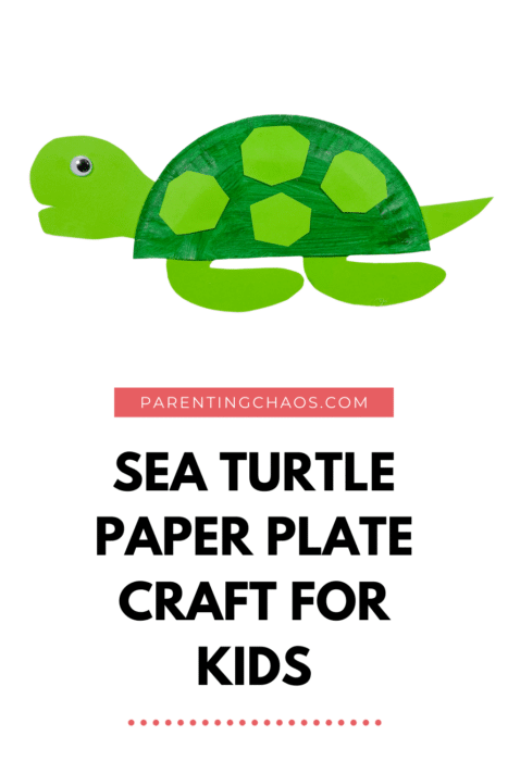 Sea Turtle Paper Plate Craft for Kids
