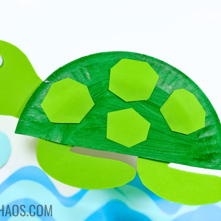 Turtle Paper Plate Craft