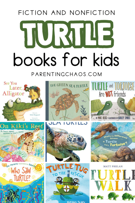 Turtle Books for Preschoolers